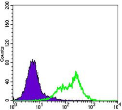 RICTOR Antibody in Flow Cytometry (Flow)