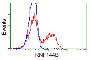 RNF144B Antibody in Flow Cytometry (Flow)