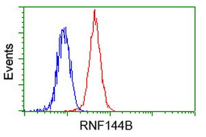 RNF144B Antibody in Flow Cytometry (Flow)