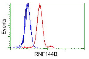 RNF144B Antibody in Flow Cytometry (Flow)