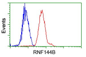 RNF144B Antibody in Flow Cytometry (Flow)