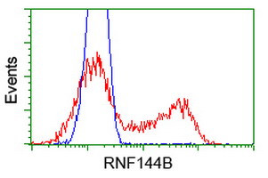 RNF144B Antibody in Flow Cytometry (Flow)