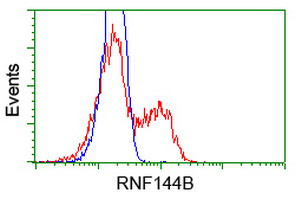 RNF144B Antibody in Flow Cytometry (Flow)