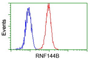 RNF144B Antibody in Flow Cytometry (Flow)