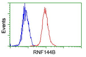 RNF144B Antibody in Flow Cytometry (Flow)