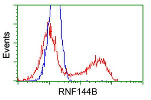 RNF144B Antibody in Flow Cytometry (Flow)