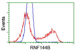 RNF144B Antibody in Flow Cytometry (Flow)