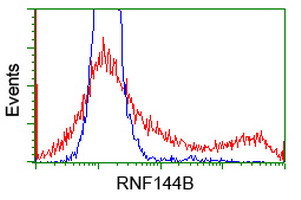 RNF144B Antibody in Flow Cytometry (Flow)