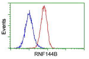 RNF144B Antibody in Flow Cytometry (Flow)