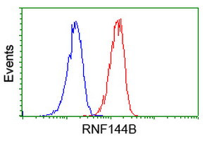 RNF144B Antibody in Flow Cytometry (Flow)