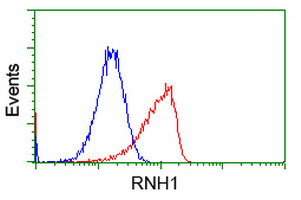 RNH1 Antibody in Flow Cytometry (Flow)