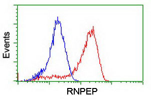 RNPEP Antibody in Flow Cytometry (Flow)