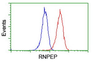 RNPEP Antibody in Flow Cytometry (Flow)