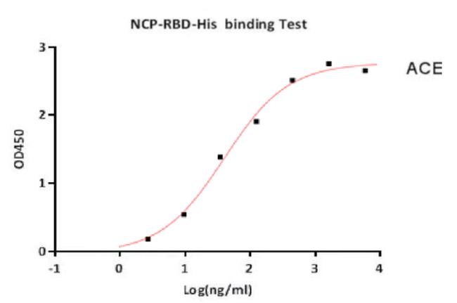 SARS-CoV-2 Spike Protein (RBD) (aa319-541), His Tag Protein in Functional Assay (FN)