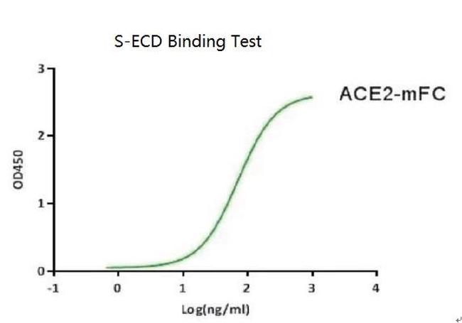 SARS-CoV-2 Spike Protein (S1/S2) (aa16-1213), His-Flag Tag Protein in Functional Assay (FN)