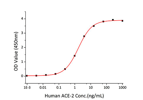 SARS-CoV-2 Spike Protein (RBD) (aa319-541), His Tag Protein in ELISA (ELISA)