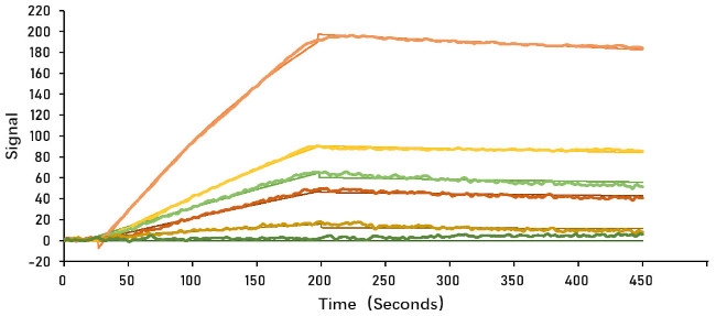 SARS-CoV-2 Spike Protein S1 (aa14-683), His-Avi Tag Protein in Surface plasmon resonance (SPR)