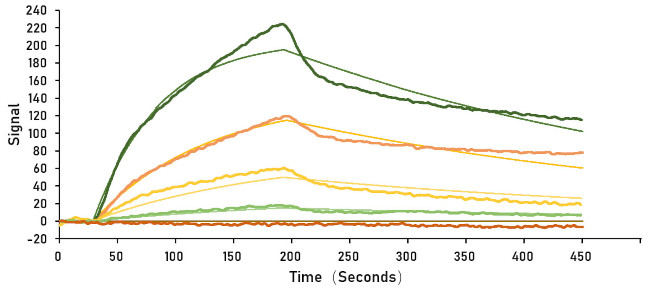 SARS-CoV-2 Spike Protein (RBD) (aa319-541), mFc Tag Protein in Surface plasmon resonance (SPR)