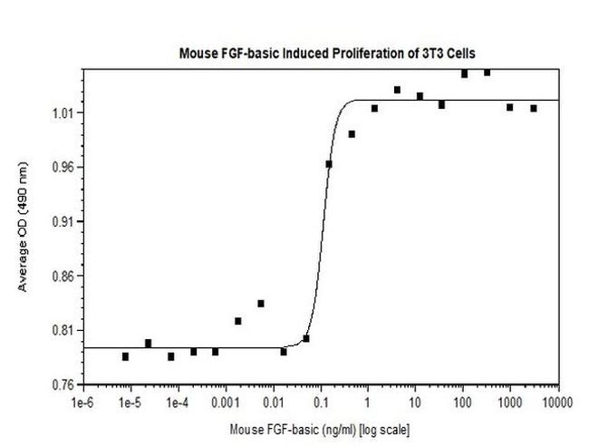 Mouse FGF-basic (FGF-2/bFGF) Protein