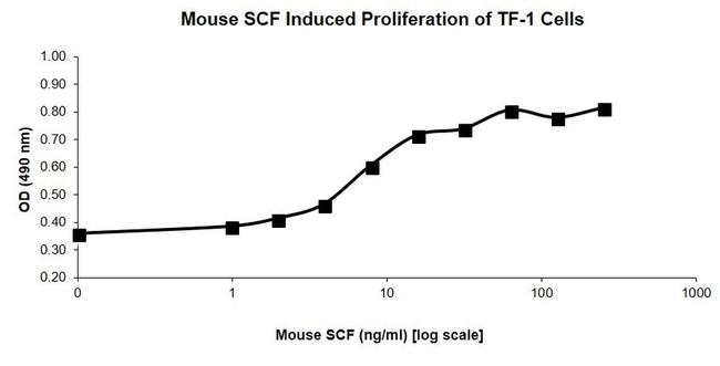 Mouse SCF Protein