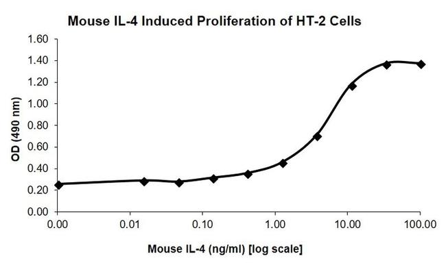 Mouse IL-4 Protein