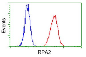 RPA2 Antibody in Flow Cytometry (Flow)