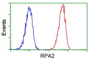 RPA2 Antibody in Flow Cytometry (Flow)