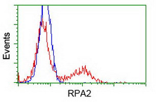 RPA2 Antibody in Flow Cytometry (Flow)