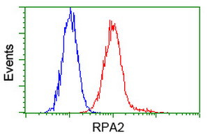 RPA2 Antibody in Flow Cytometry (Flow)