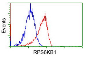 RPS6KB1 Antibody in Flow Cytometry (Flow)