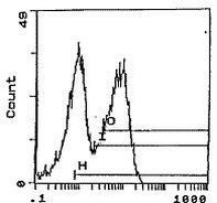 RT1.Bu Antibody in Flow Cytometry (Flow)