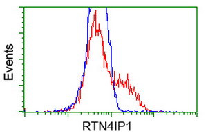 RTN4IP1 Antibody in Flow Cytometry (Flow)