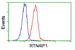 RTN4IP1 Antibody in Flow Cytometry (Flow)