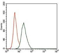 RUNX3 Antibody in Flow Cytometry (Flow)