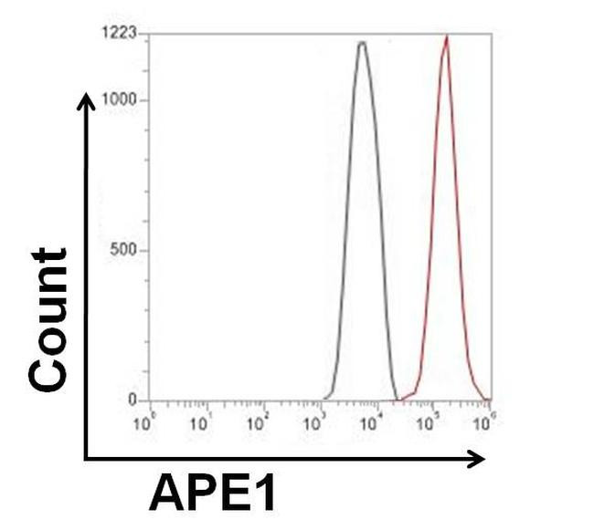 Rabbit IgG (H+L) Highly Cross-Adsorbed Secondary Antibody in Flow Cytometry (Flow)