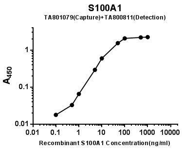 S100A1 Antibody in ELISA (ELISA)