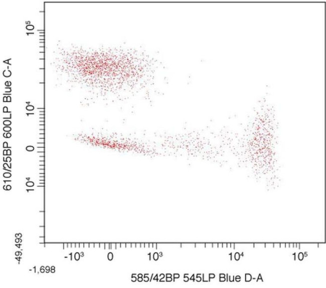 CD8 Antibody in Flow Cytometry (Flow)