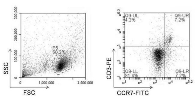 Rat IgG2a Secondary Antibody in Flow Cytometry (Flow)
