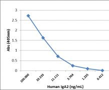 Human IgA2 Secondary Antibody in ELISA (ELISA)