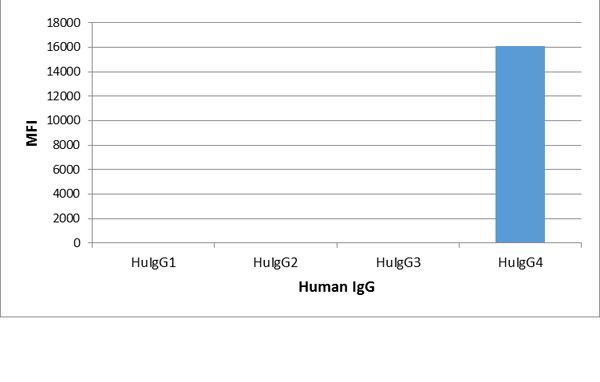 Human IgG4 Fc Secondary Antibody in ELISA (ELISA)