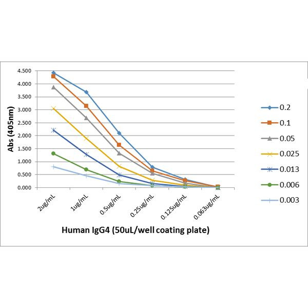 Human IgG4 Fc Secondary Antibody in ELISA (ELISA)