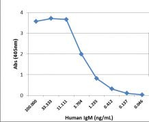 Human IgM Secondary Antibody in ELISA (ELISA)