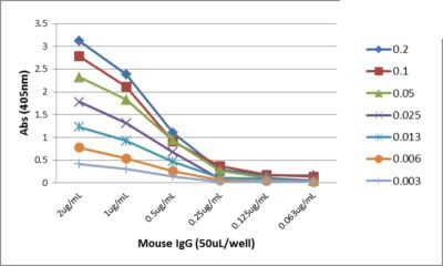 Mouse IgG Fc Secondary Antibody in ELISA (ELISA)