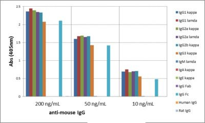 Mouse IgG Fc Secondary Antibody in ELISA (ELISA)