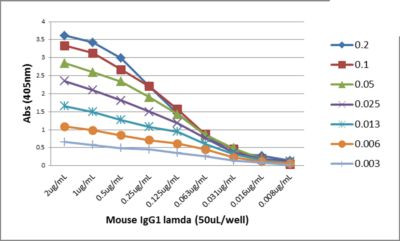 Mouse Lambda Light Chain Secondary Antibody in ELISA (ELISA)
