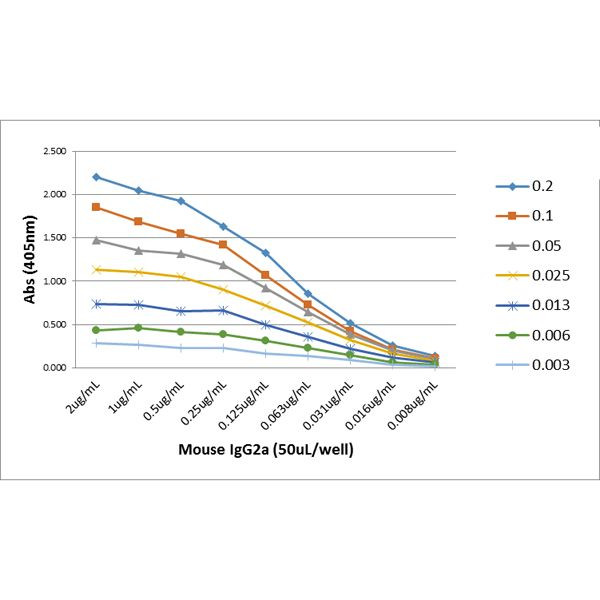 Mouse IgG2a Secondary Antibody in ELISA (ELISA)