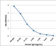 Human IgA1/IgA2 Secondary Antibody in ELISA (ELISA)