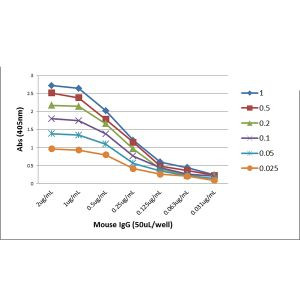 Mouse IgG Fc Secondary Antibody in ELISA (ELISA)