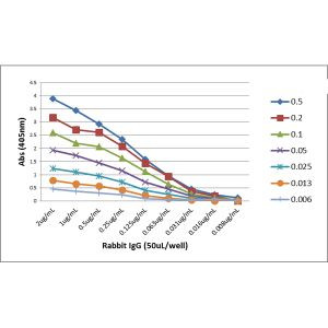 Rabbit IgG (H+L) Secondary Antibody in ELISA (ELISA)