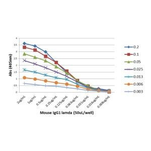 Mouse Lambda Light Chain Secondary Antibody in ELISA (ELISA)